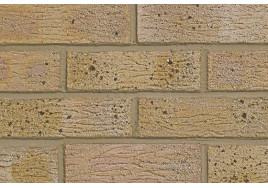 65mm LBC London Brick Company Nene Valley Stone Brick - Per Pack 390